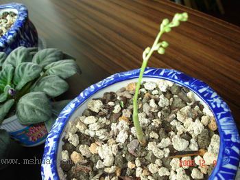 ������С�������컨Ҳ��ѿ