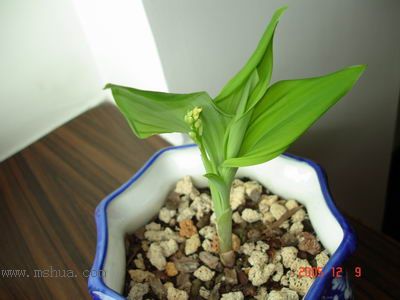 ������С�������컨Ҳ��ѿ