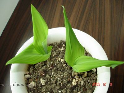 ������С�������컨Ҳ��ѿ