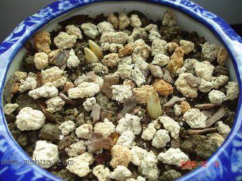 ������С�������컨Ҳ��ѿ