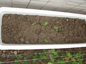 ������С�������컨Ҳ��ѿ