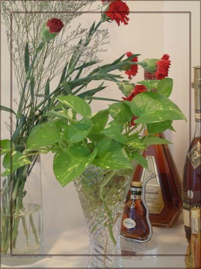 ���������������ʻ����ɣ��������ȣ���һ�¡�