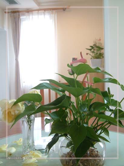 ���������������ʻ����ɣ��������ȣ���һ�¡�