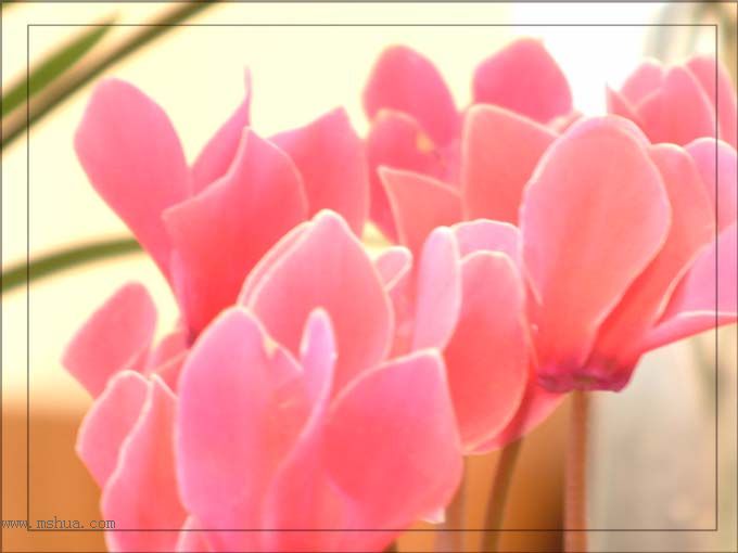 ���������������ʻ����ɣ��������ȣ���һ�¡�