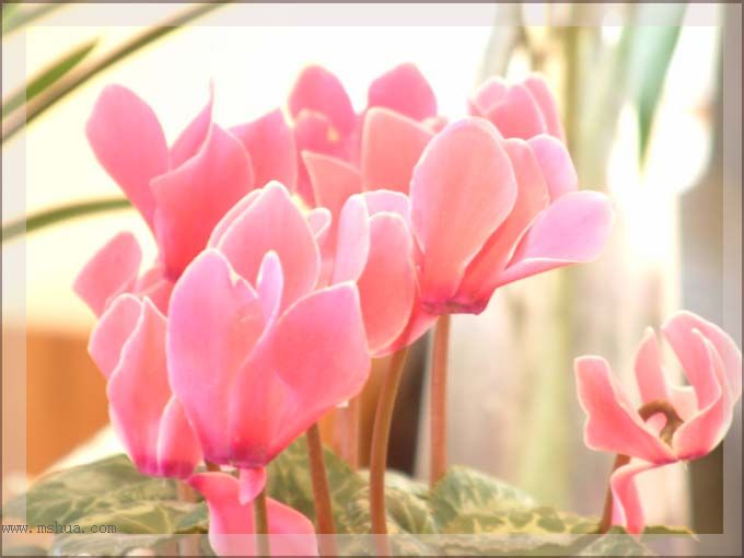 ���������������ʻ����ɣ��������ȣ���һ�¡�