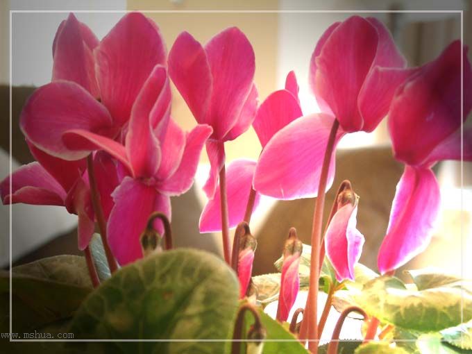 ���������������ʻ����ɣ��������ȣ���һ�¡�