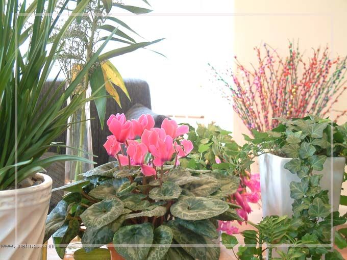 ���������������ʻ����ɣ��������ȣ���һ�¡�