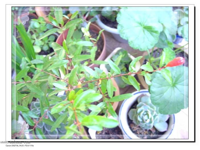 �����Сʯ�񡣡���