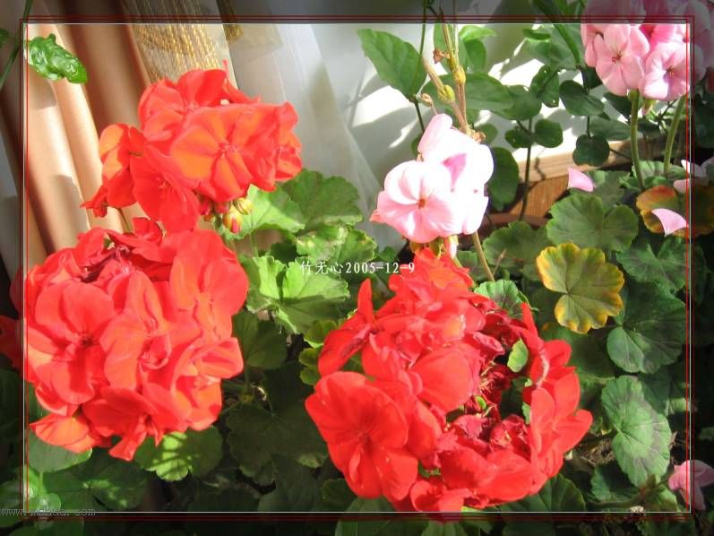 һ����졣��