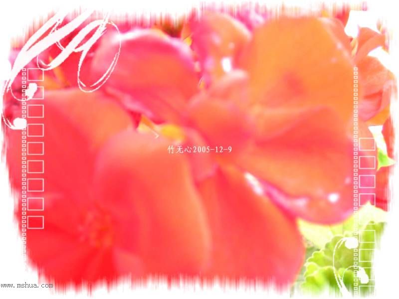 һ����졣��