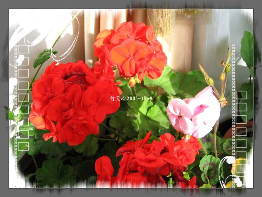 һ����졣��