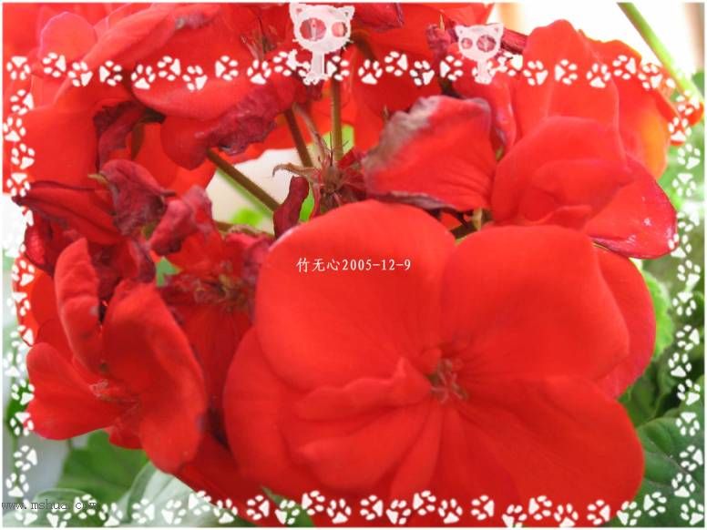 һ����졣��