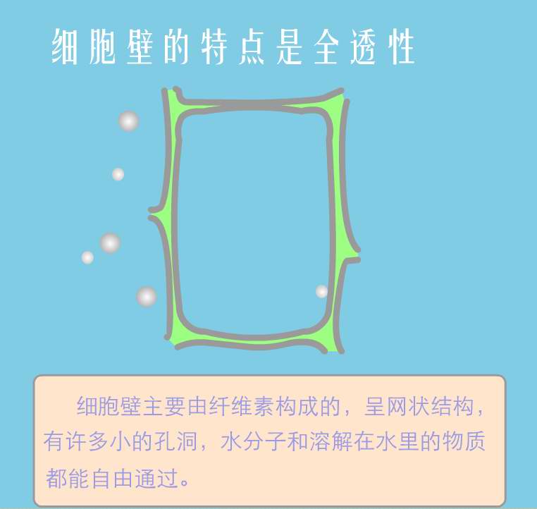 ֲ�����֪ʶƪ��һ�������˽�ֲ���ϸ��