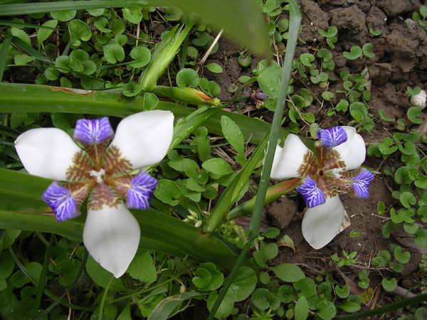 2005�Ҽҵ����