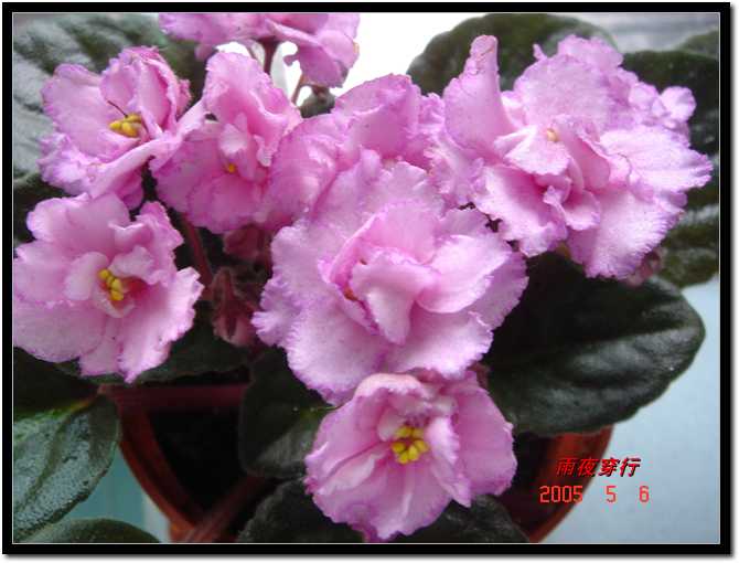 ��ҹ��˽����԰