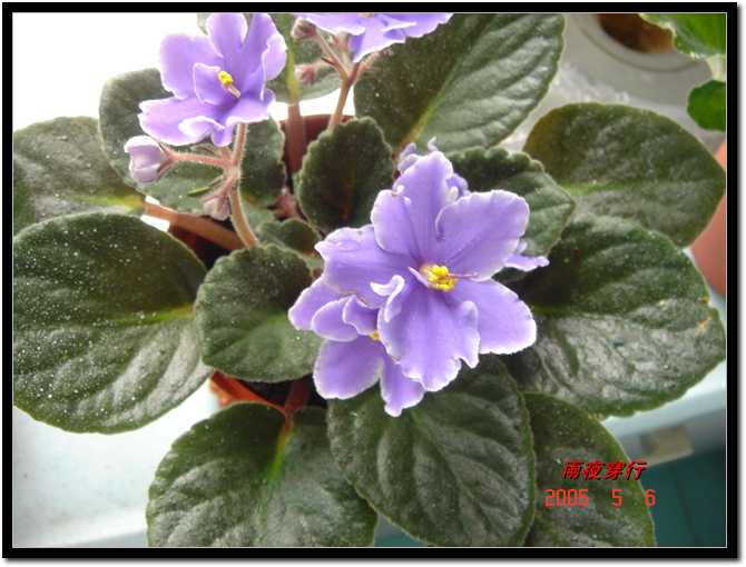 ��ҹ��˽����԰