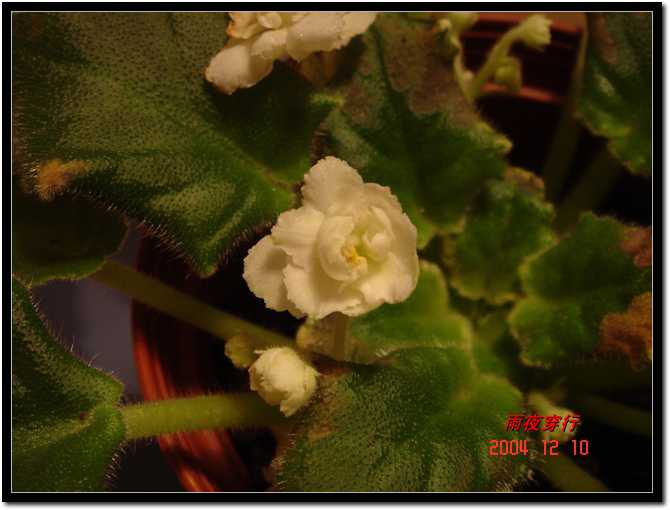 ��ҹ��˽����԰