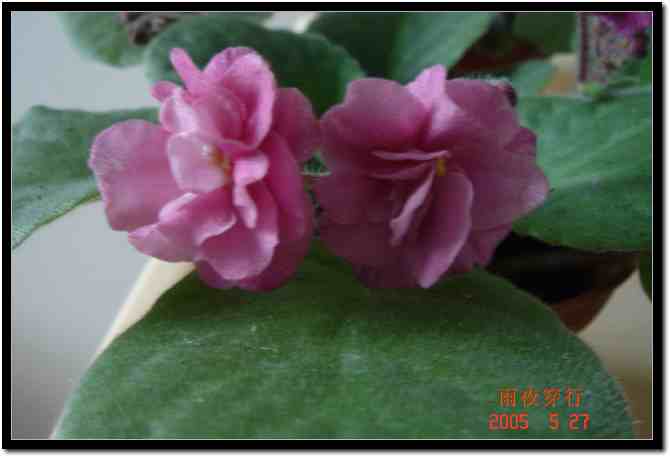 ��ҹ��˽����԰