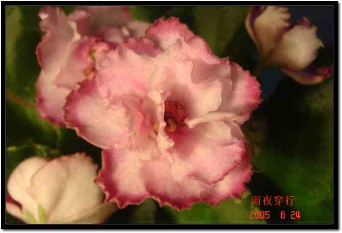 ��ҹ��˽����԰