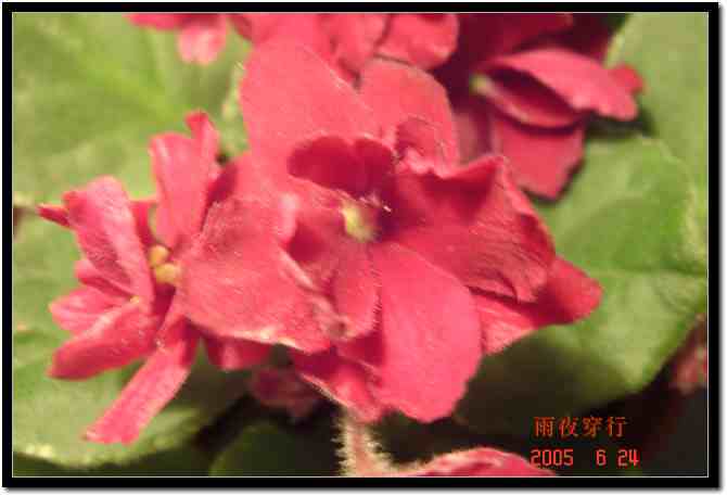 ��ҹ��˽����԰