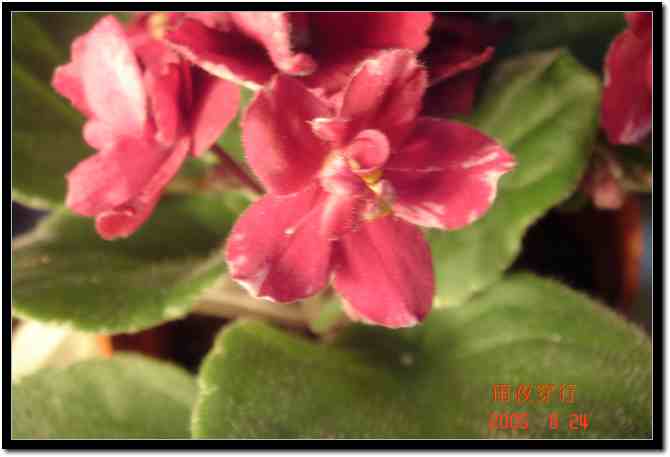 ��ҹ��˽����԰