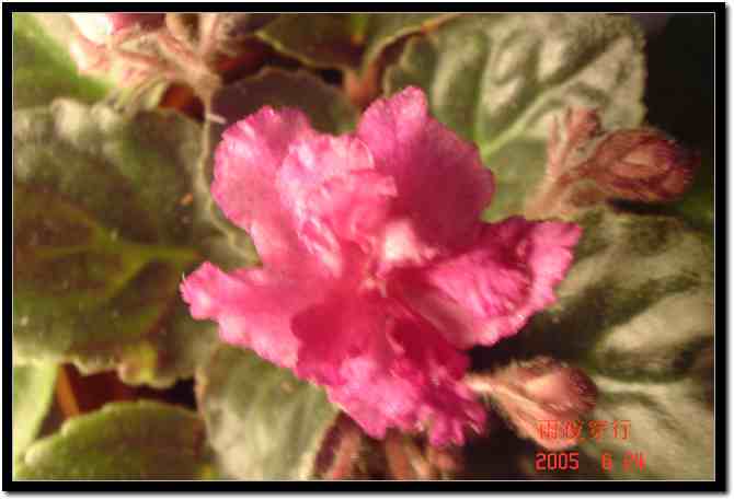 ��ҹ��˽����԰