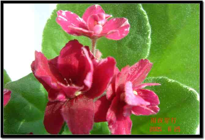 ��ҹ��˽����԰