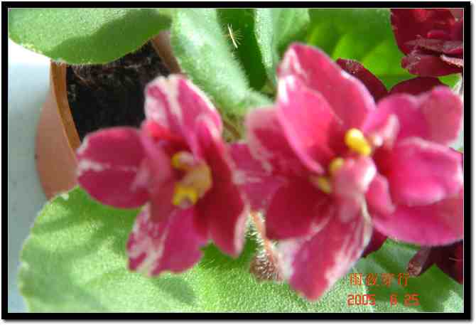 ��ҹ��˽����԰