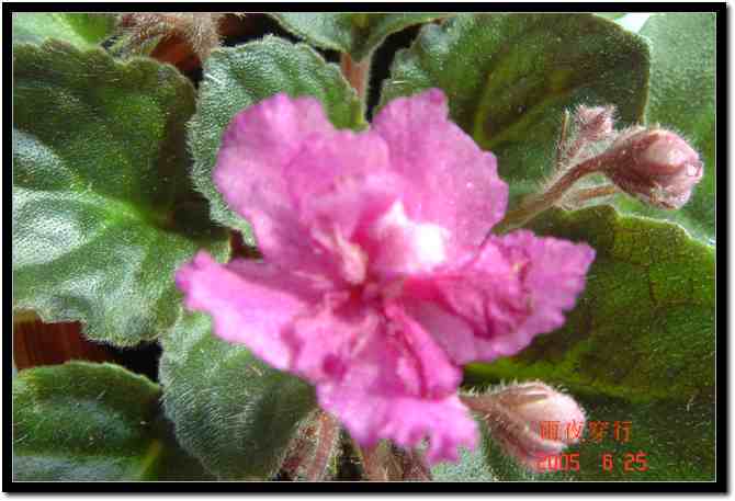 ��ҹ��˽����԰