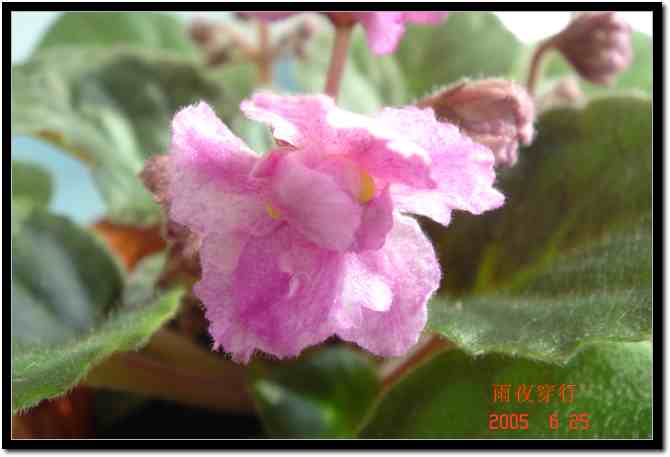 ��ҹ��˽����԰