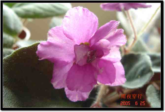 ��ҹ��˽����԰