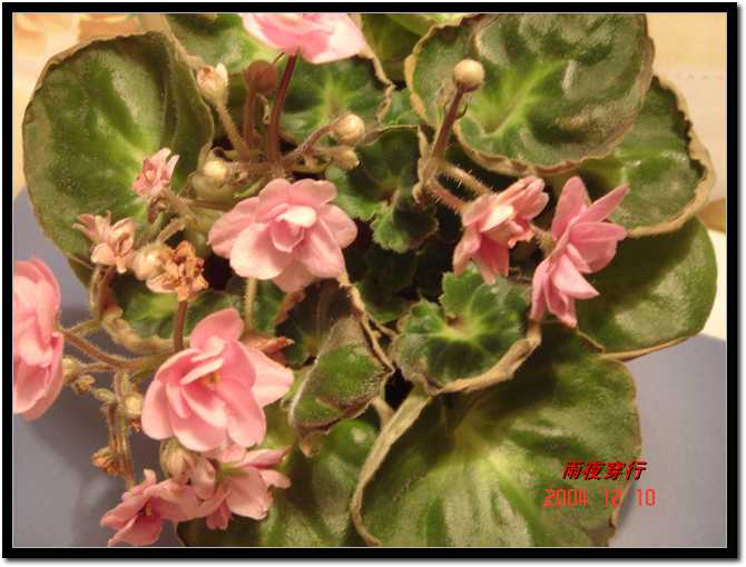 ��ҹ��˽����԰