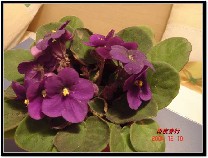 ��ҹ��˽����԰