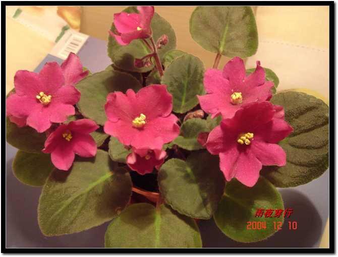 ��ҹ��˽����԰