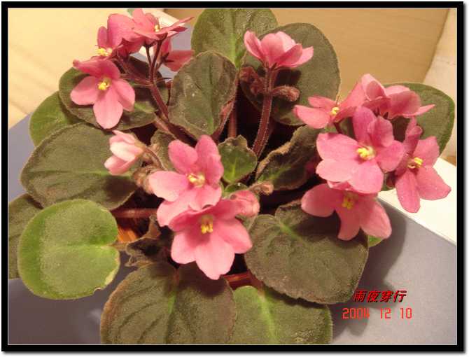 ��ҹ��˽����԰