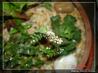ѩ�����ҳ�ҹ���ˣ�ͬ־��������~