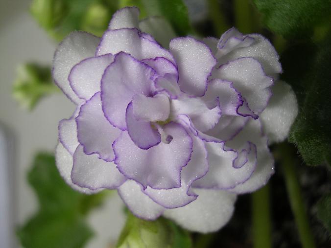 [��ˮ]��������ˮ��