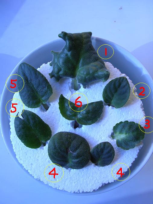 [��ˮ]��������ˮ��