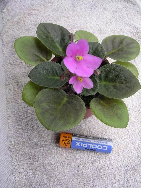 [��ˮ]��������ˮ��