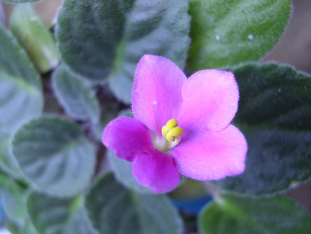 [��ˮ]��������ˮ��