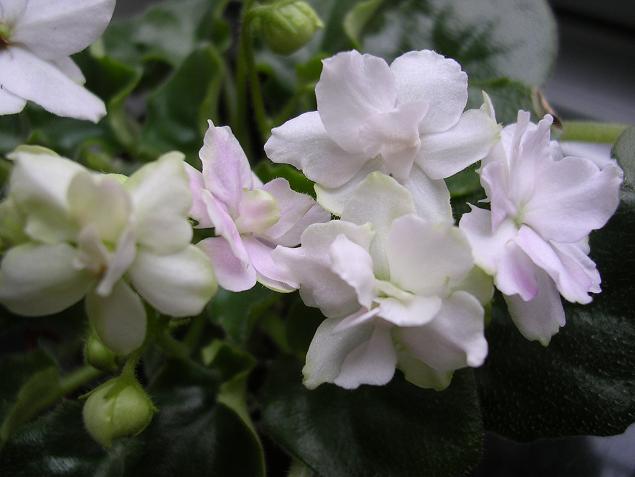 [��ˮ]��������ˮ��