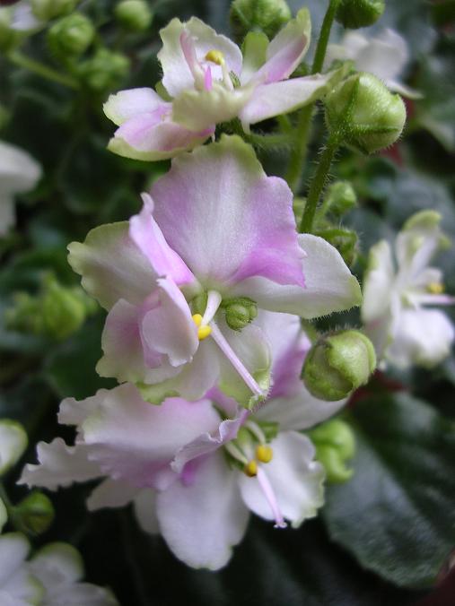 [��ˮ]��������ˮ��