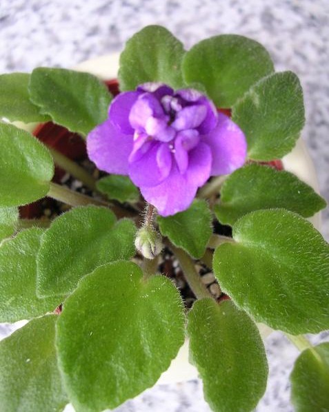 [��ˮ]��������ˮ��