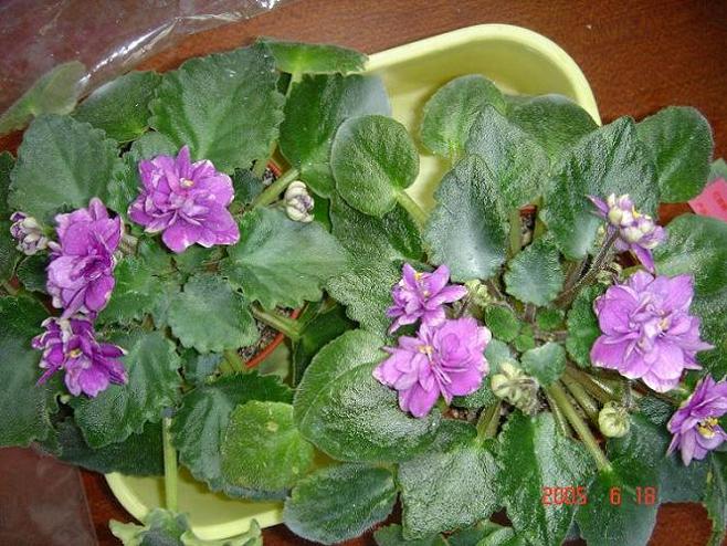 [��ˮ]��������ˮ��