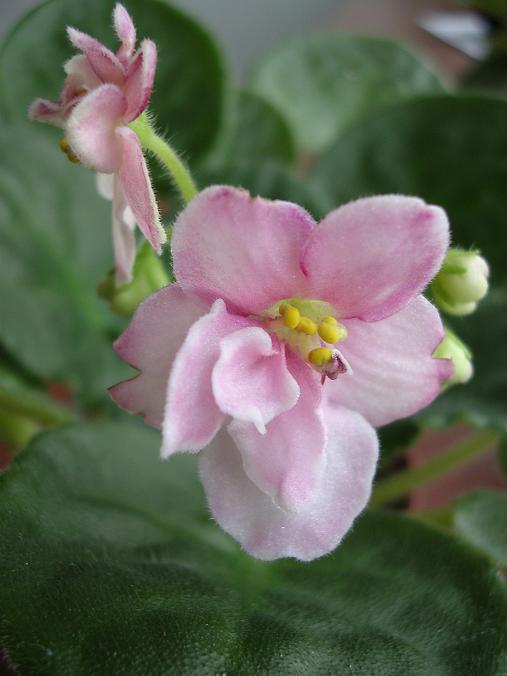 [��ˮ]��������ˮ��