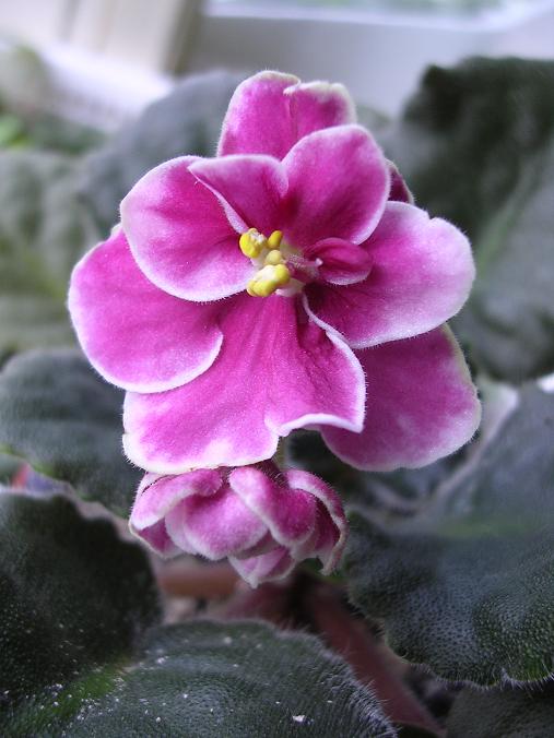 [��ˮ]��������ˮ��