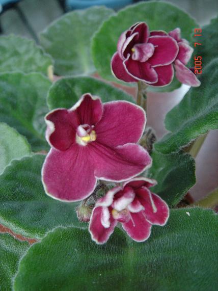 [��ˮ]��������ˮ��