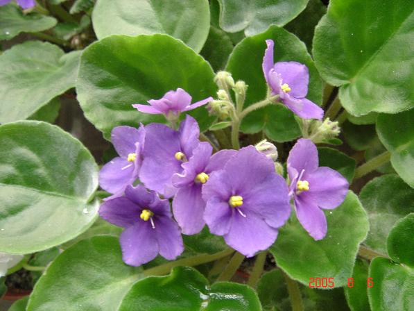 [��ˮ]��������ˮ��