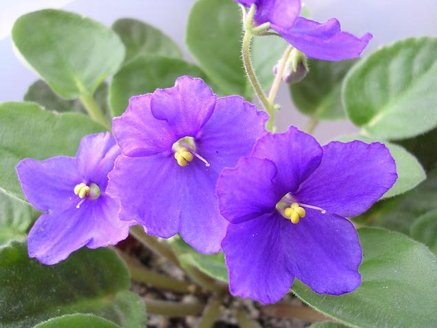 [��ˮ]��������ˮ��