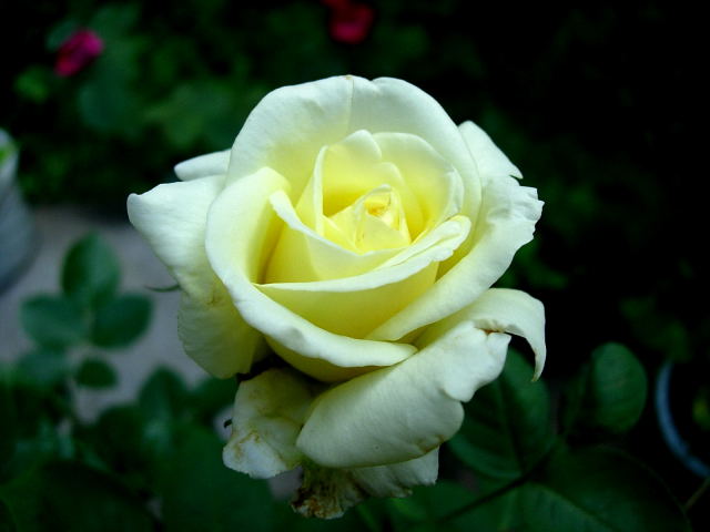 �ٱ��¼�--�ٰ�